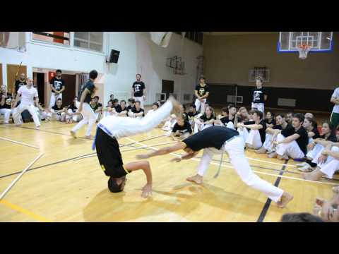 jogo de prof. perna & raposa cdo israel