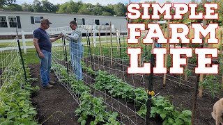 A SIMPLE Farm Day — Cows, Supper & Garden Rows