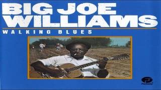 Big Joe Williams - Low Down Dirty Shame