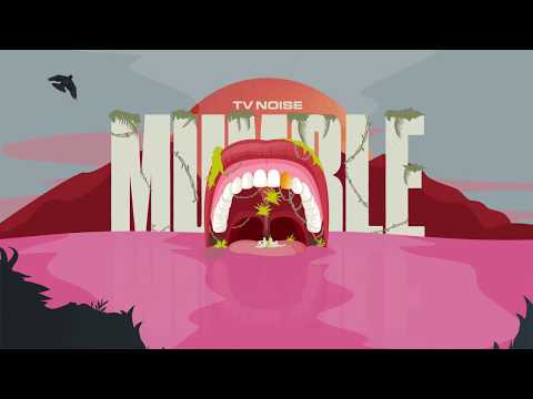 TV Noise - Mumble