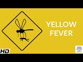 Yellow Fever, Causes, Signs and Symptoms, Diagnosis and Treatment.