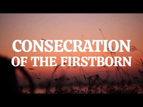 Exodus 13:1 – 16: Consecration of Firstborns | Bible Story (2020)