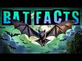 Bat Facts!