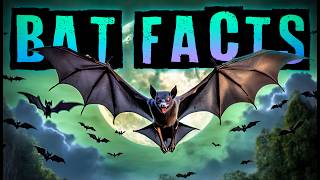 Bat Facts!