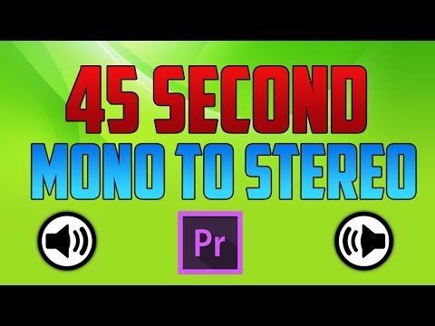 Premiere Pro Podcast Voice Tutorial