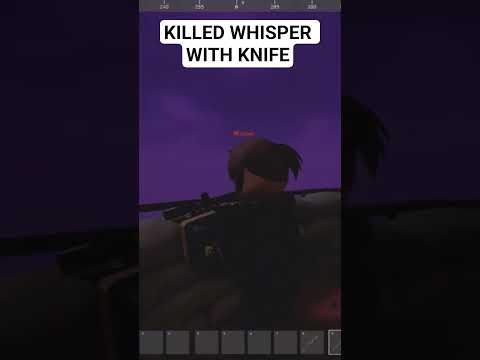 KILLED WHISPER WITH KNIFE |project delta