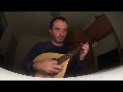 The Czech Lute for CGDA Mandola