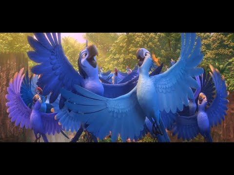 Rio 2 - Beautiful Creatures scene