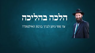 עד מתי ניתן לברך ברכת האילנות?