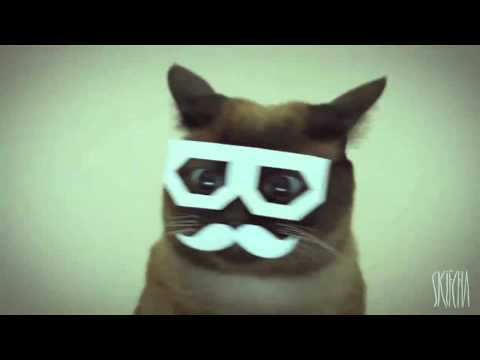 stereo skifcha ~ dubstep cat [1 hour loop]