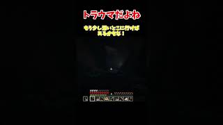 【マイクラ】ウォーデントラウマ #マイクラ