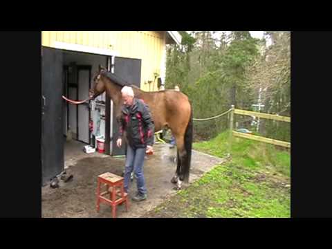 Håkan Lundell behandlar Wille