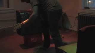 Wildwood Flower - John Zuma Saint-Pelvyn