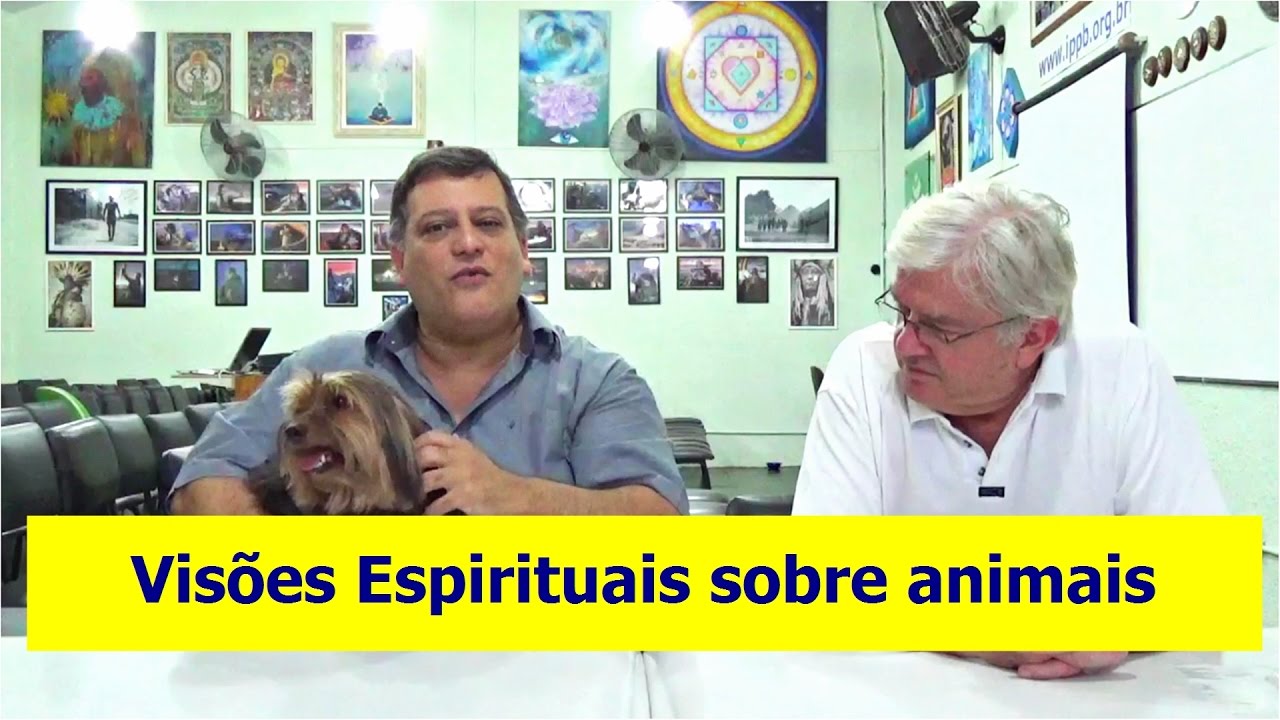 Visões Espirituais sobre animais | # 2 Stum Pet