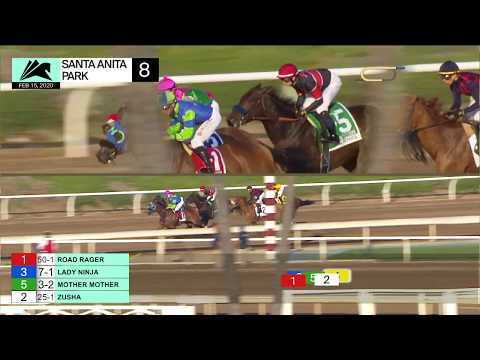 Santa Monica Stakes ( GRADE II ) - February ,15 2020