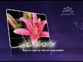 Imam Ali Nasheed - Ahlulbayt TV 