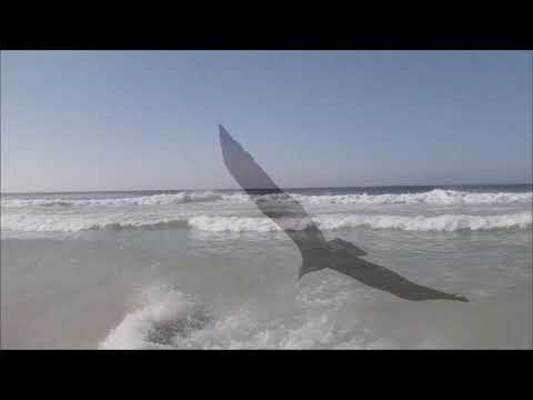 wakantanka xamanismo   reitro xamanico   Araruama RJ   2018