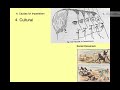 Imperialism PPT Part 1 (1750 - 1900) South Asia
