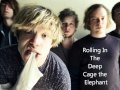 Rolling In The Deep - Cage The Elephant (Adele Cover)