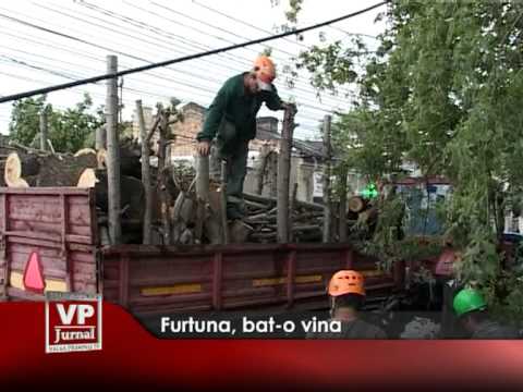 Furtuna, bat-o vina