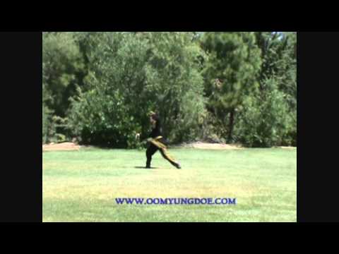 Oom Yung Doe style - Chung Yun Doe.wmv