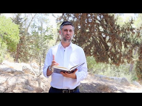 Bitachon 167 - The Sin of Hishtadlus