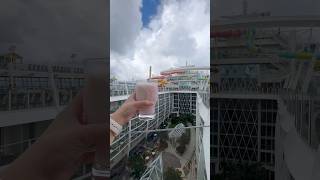 I need a Lime and Coconut as soon as I step on a @RoyalCaribbean ship🍋‍🟩🥥