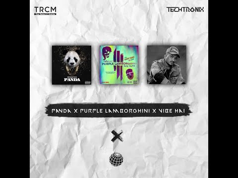 Panda VS Purple Lamborghini VS Vibe Hai - TECHTRONIX X TRCM (MASHUP)
