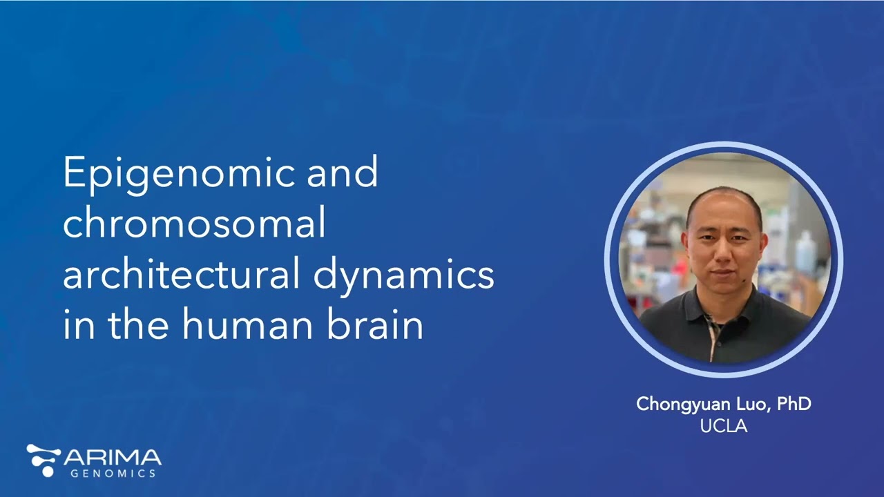 Single-Cell 3D Genomics in Neuroscience and the BRAIN Initiative