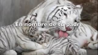 En Nombre De Tu Padre - Los Tigres Del Norte