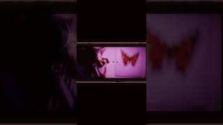 【#盗作ライブ】【#ヨルシカ】【#盗作再演】ヨルシカ LIVE TOUR 2021「盗作」セトリメドレー Guitar&Basscover by フクレモ.    #盗作live  #キタニタツヤ