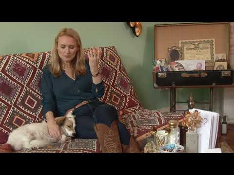 Das sexuelle Verlangen