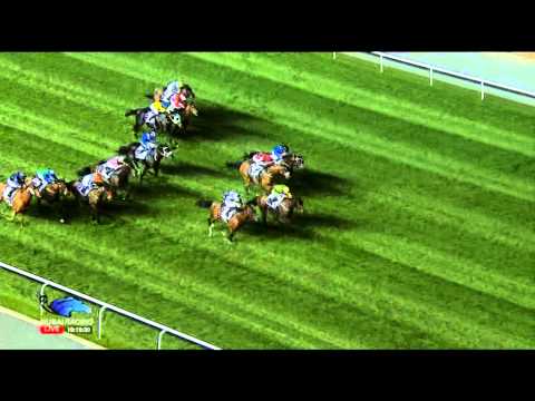 29.01.2015 Meydan (Dubai/UAE) 2.Race EGA Excellence Trophy - Handicap 1.000 m