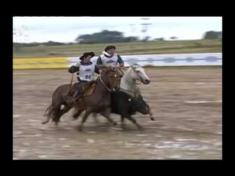 Norte RS – 1° e 2° lugar fêmeas – Dom Alberto Karapuça e Adara da C Dois