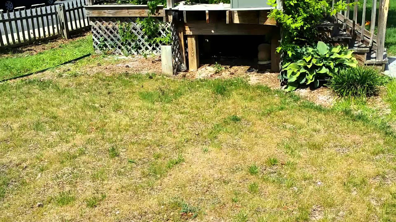 Intex pool setup part 1