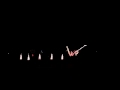 Sargent Family Christmas Light Show 2015 Intro