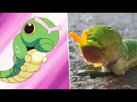 20 POKÉMON CHE ESISTONO NELLA REALTÀ con Federic95ita