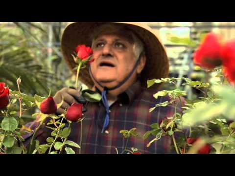 download lagu mp3 mp4 Monte Montgomery The Story Of Love 2003, download mp3 Monte Montgomery The Story Of Love 2003 free downloadn, video klip Monte Montgomery The Story Of Love 2003