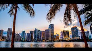 La Fine Equipe &amp; Mattic - The Hokey Pokey Instrumental