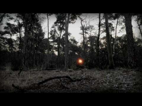 Nature Sounds: Cold Winter Forest Night from Dusk till Dawn (Long Field Recording)