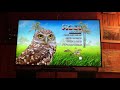 Hoot Dvd Menu