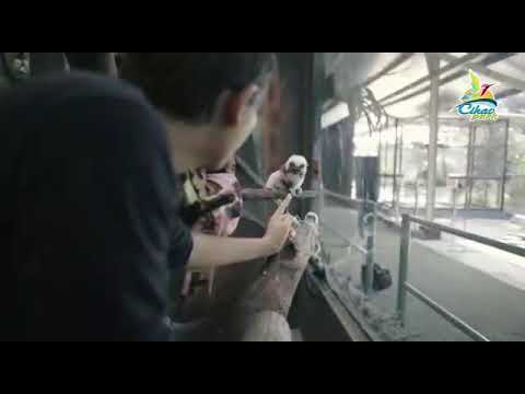 KESERUAN LUCKY HAKIM DI CIKAOPARK PURWAKARTA