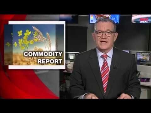 Plumgrove GWN7 News - 23 02 2018