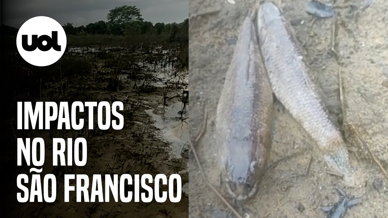 Impactos da baixa vazão do São Francisco
