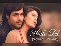 Hale Dil Slowed Reverb Murder 2 Emraan Hashmi Jacqueline Harshit Saxena Aawaaz E Ishq