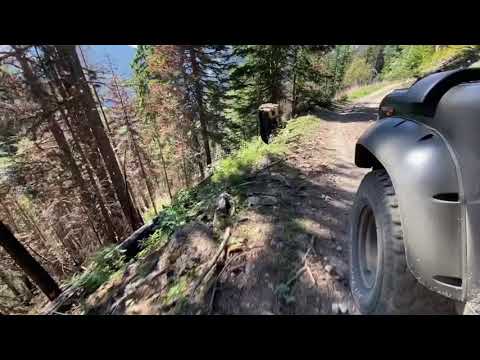 MTB Downhill Maja Milishefcit 2413m. / Bjeshket e Deçanit