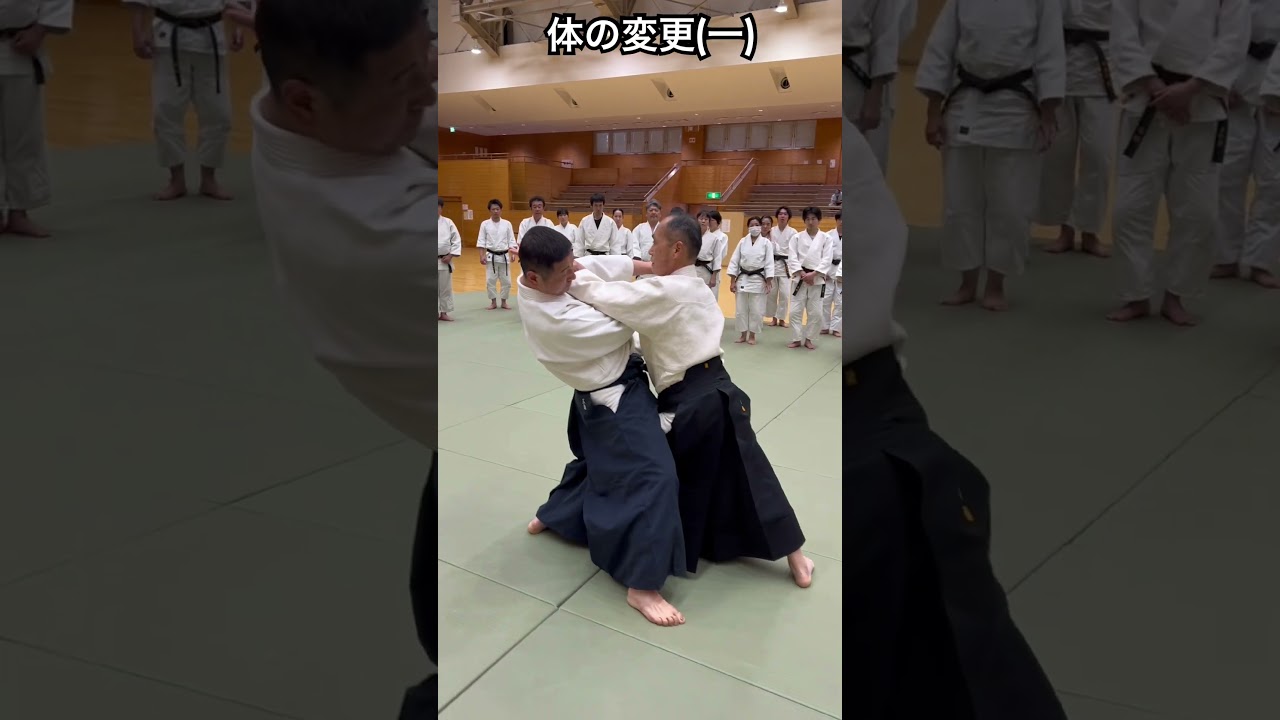 Ando Shihan    tainohenko(1) #合気道 #aikido #martialarts
