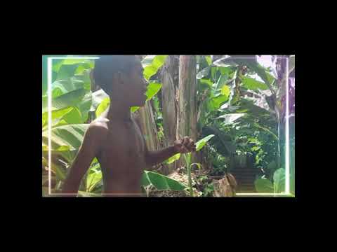 Castii Mahn - Tamine Kimbe Cover