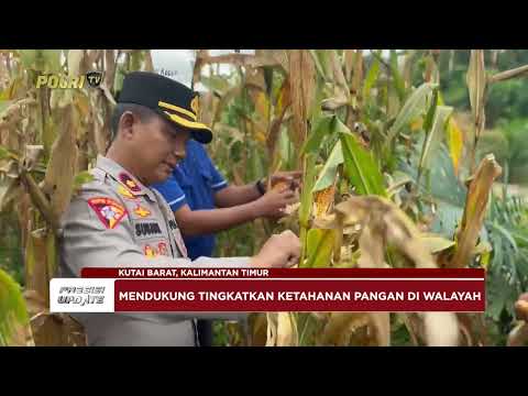 PRESISI UPDATE: PANEN JAGUNG DUKUNG KETAHANAN PANGAN PEMERINTAH 11/05/2025 17.00