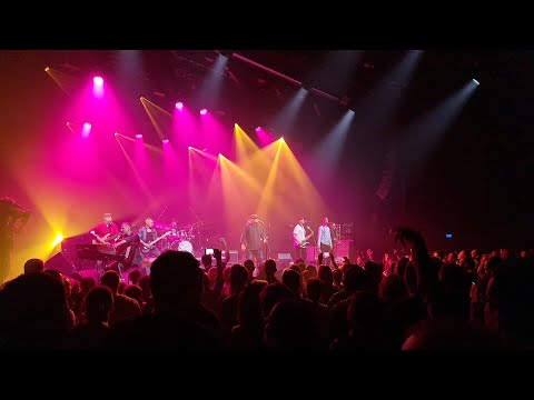 VINSKA TRTA - Orlek 35 years (Live: Kino Šiška - Ljubljana, October 2024)